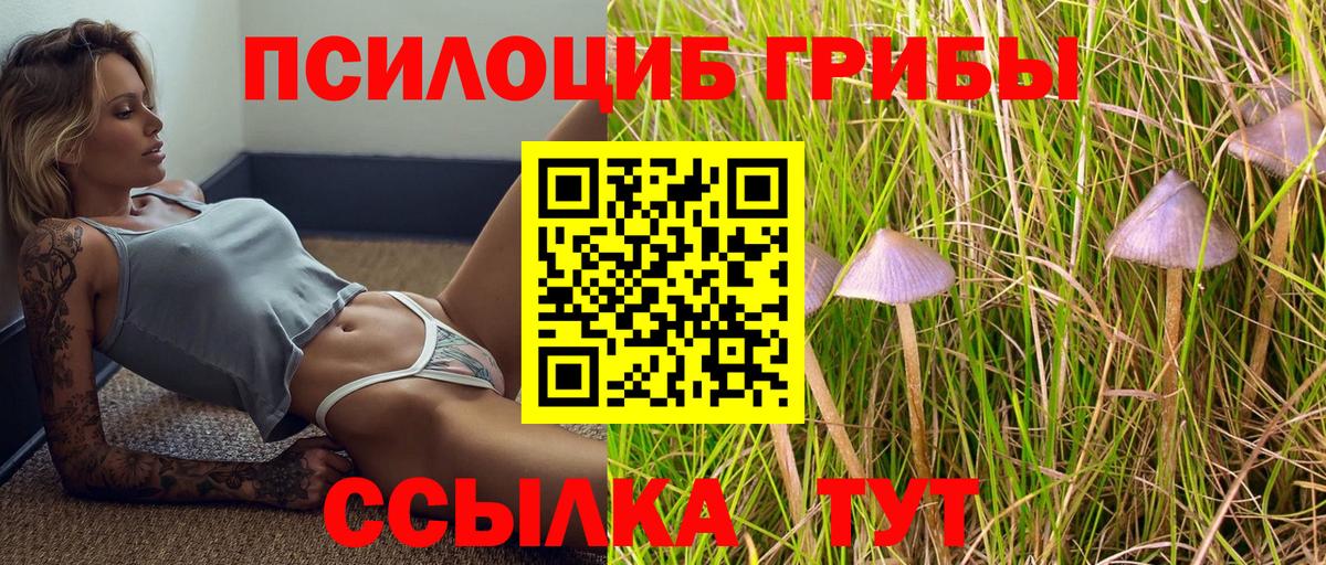 Красный Сулин  Галлюциногенные грибы Psilocybe  Вход с VPN  Галлюциногенные грибы мухоморы 
